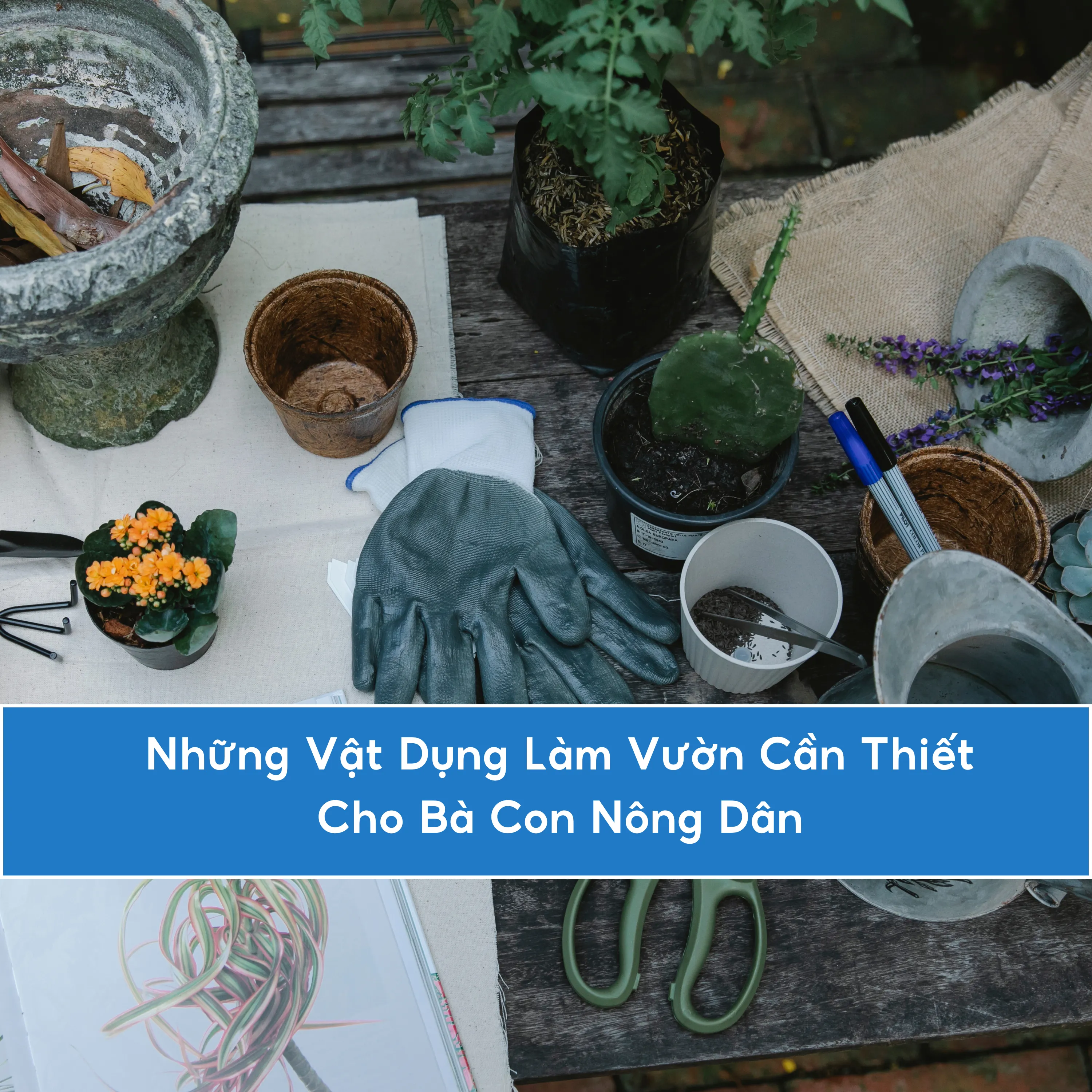 Những Vật Dụng Làm Vườn Cần Thiết Cho Bà Con Nông Dân