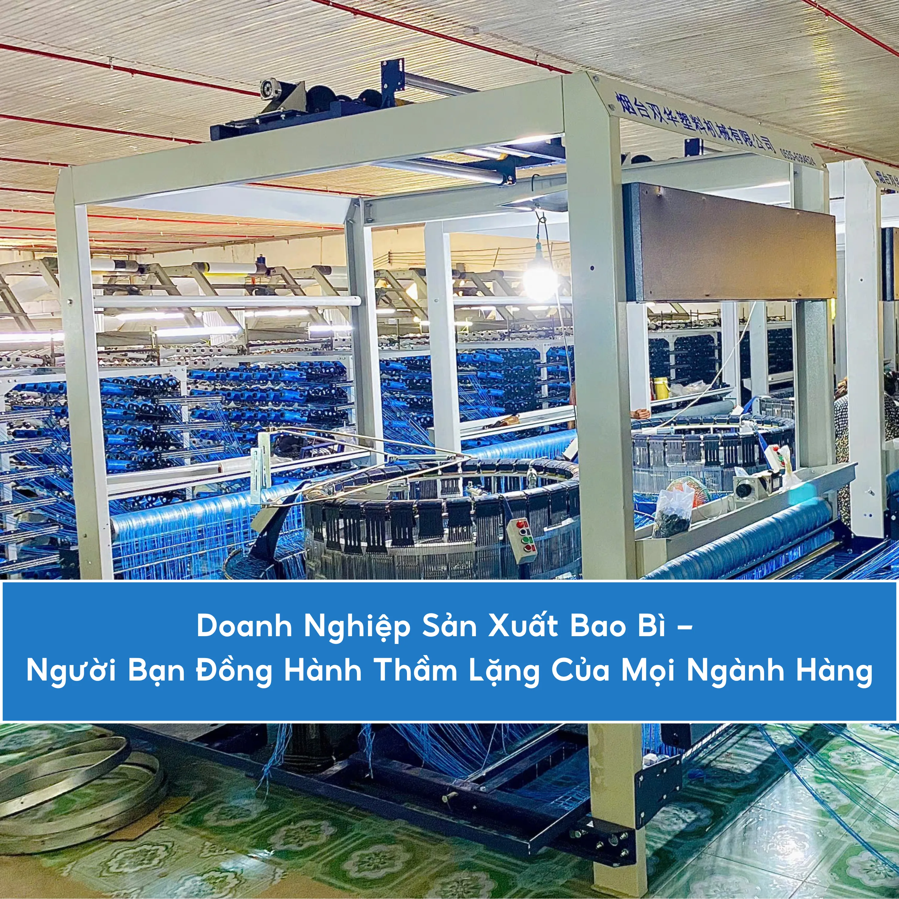Doanh nghiệp sản xuất bao bì – Người bạn đồng hành thầm lặng của mọi ngành hàng